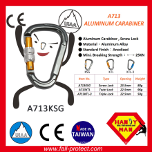 Hot Selling Screw Lock Aluminum Alloy Carabiner With Ce Certificate